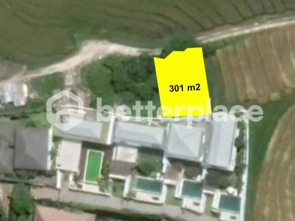 Prime Freehold Land with Rice Field View near Pantai Lima