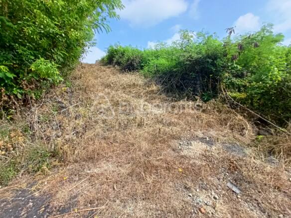Rarely and Good Size Plot Land For Freehold in Ungasan Area