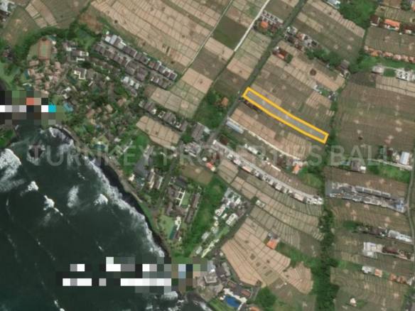 Perfect Land For Lease Close to The Beach in Cemagi