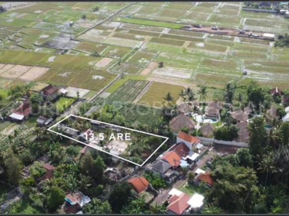 Beautiful Leasehold Land in Cepaka with Greenbelt Views
