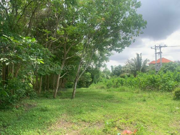 Affordable Leasehold 25 Are Land in Padonan