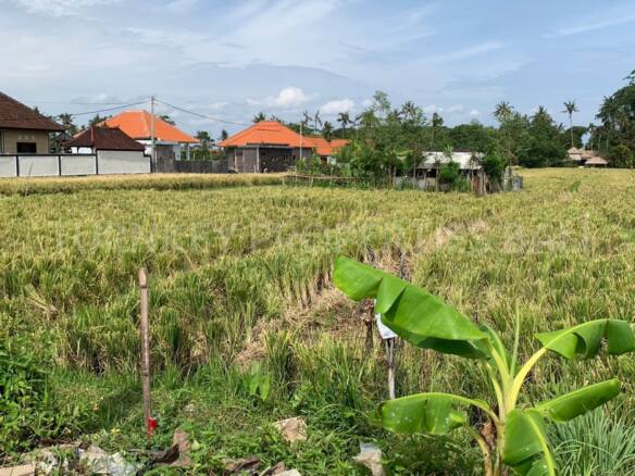 Great Land 3,200sqm in Seseh Close to the Beach