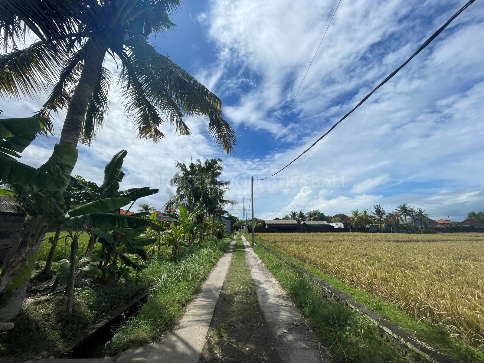 Fantastic Freehold Land Are With Ricefield View In Nyanyi For Sale