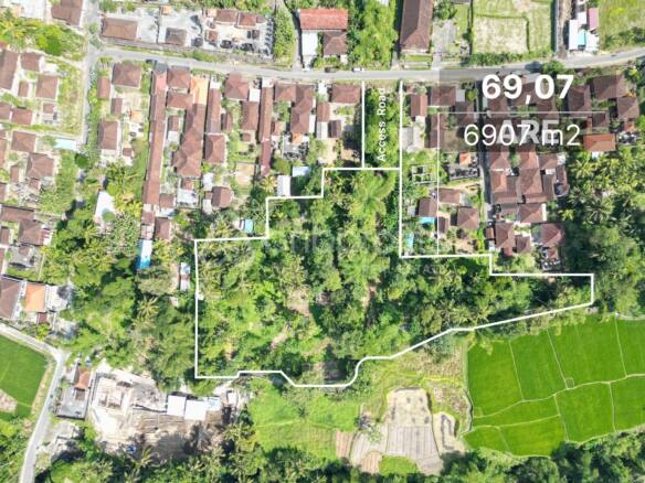 Leasehold 69,07 Are Land in Ubud Singapadu with Captivating Rice Field