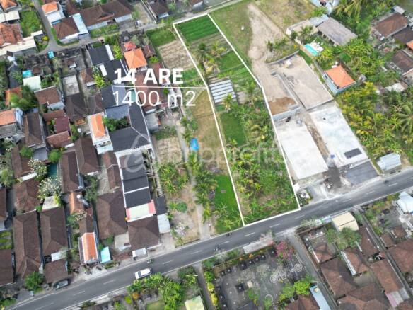 Unlock the Potential of Ubud Ideal for Investment 1400sqm Leasehold Land