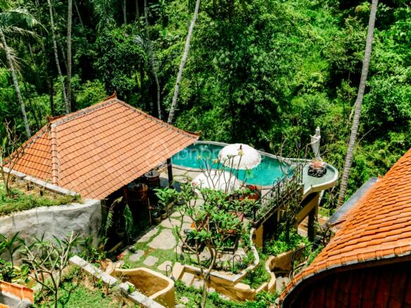Ultimate Relaxation Jungle View Villa with Saltwater Infinity Pool in Ubud
