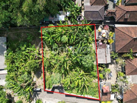 Tranquil Area, Expansive 6 Are Freehold Land in Tabanan