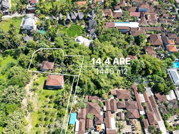 Rare Opportunity Freehold Land for Sale in Ubud with Existing Building