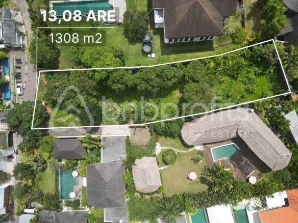 Potential Investment Land 13,08 Are for Sale Leasehold in Padonan Canggu