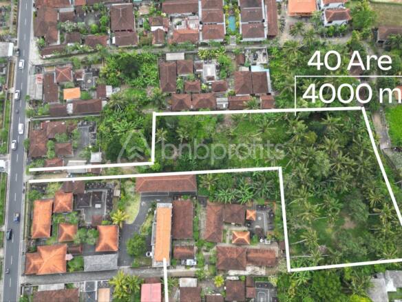 Unlock Bali's Beauty Leasehold Land For Investment in Kemenuh Ubud