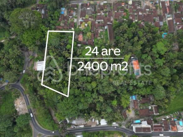 Bali Investor's Dreamland 2400 sqm Leasehold Land in Sayan Ubud