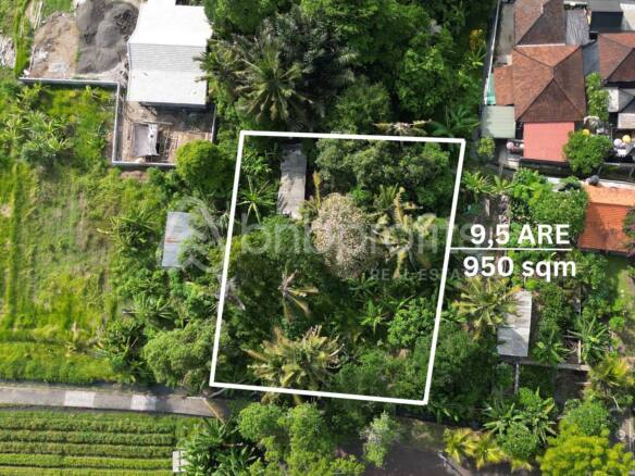 Strategic Investment 950 sqm Leasehold Land in North Canggu