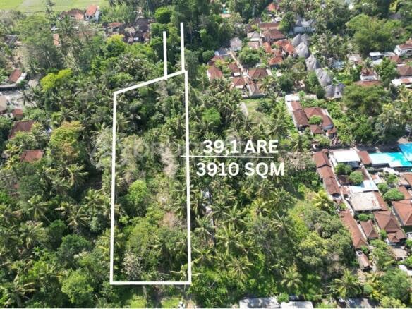 Unlock Potential 3910 sqm Leasehold Land in Lodtunduh