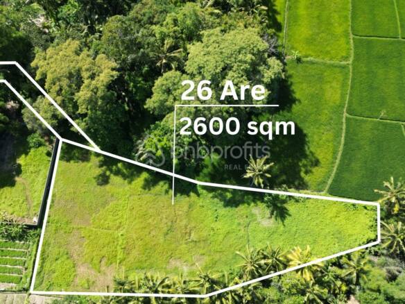 Exclusive 2600 sqm Land with Mesmerizing Rice Field Views in Mas, Ubud
