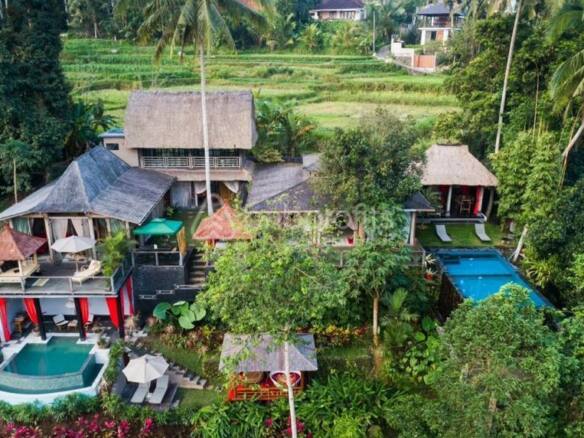 Beautiful 5 Bedrooms Villa with Two Infinity Pools Valley View in Ubud