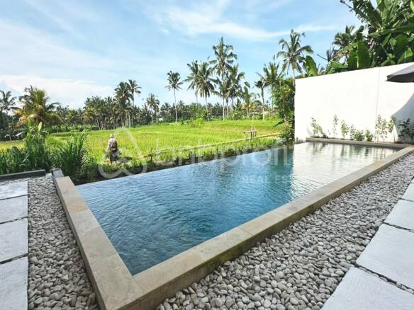 Your Oasis in Ubud: Yearly Rental of a Stunning 5-Bedroom Villa