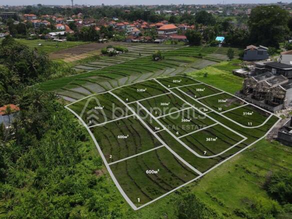 Prime Land Plots for Development in Tumbak Bayuh - Ideal for Investment