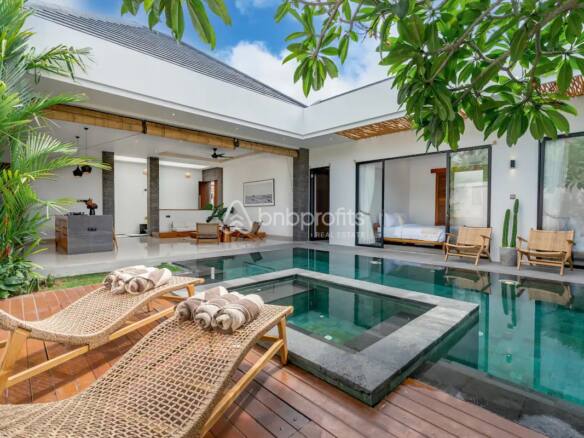 Canggu Jewel: Spacious Modern Yearly Rental Villa, Perfect for Investors