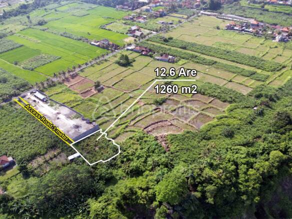 Invest in Paradise: Prime Freehold Land just minutes from Tegenungan Waterfall in Bali’s Gianyar - Kemenuh