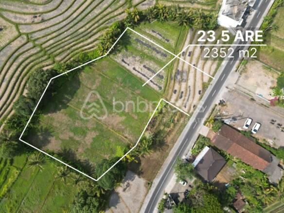 Expansive Leasehold Land Plot in Kedungu, Bali: Serene Ricefield Views, Close to Beaches - Prime Development Opportunity