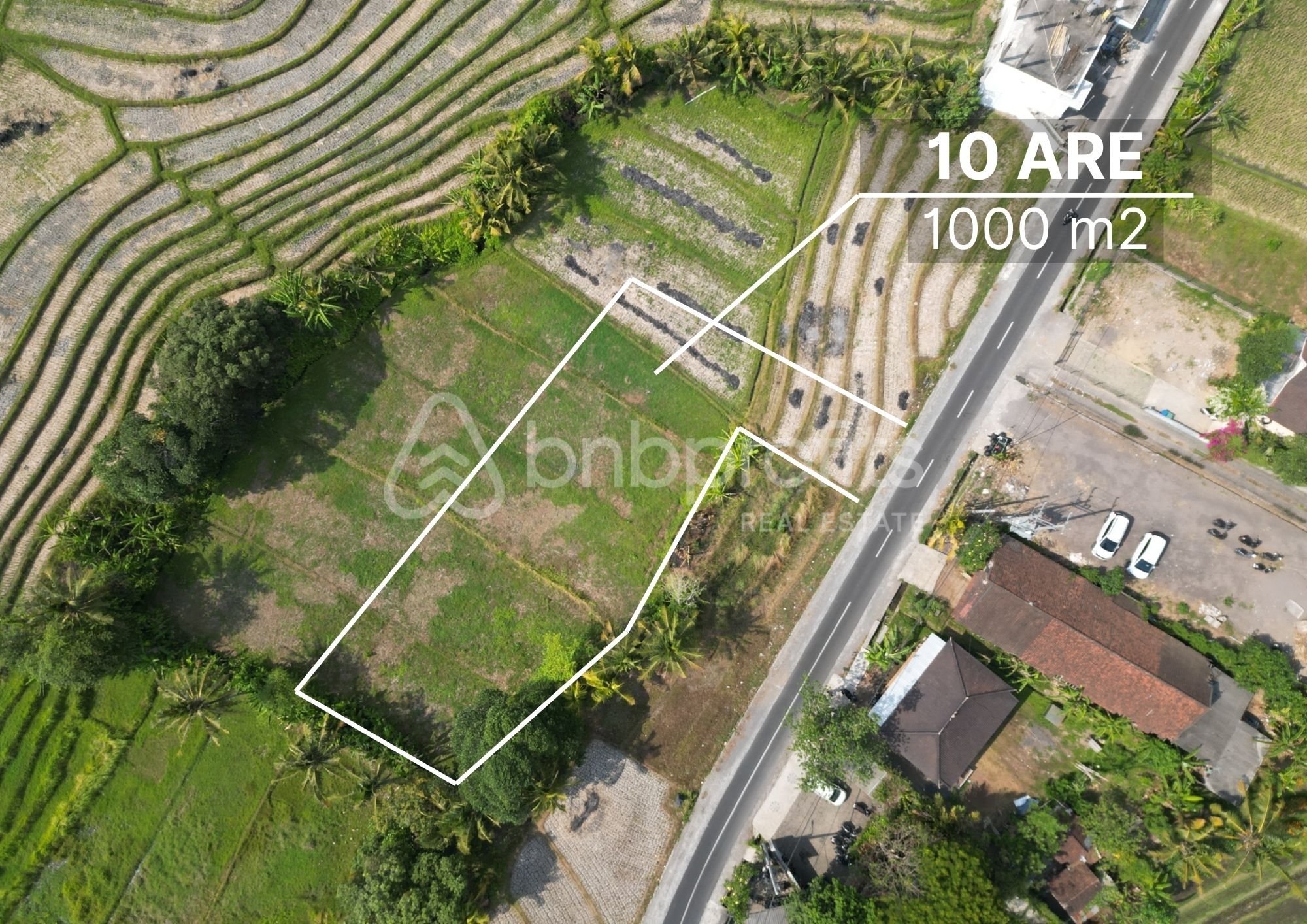 Serene Sanctuary: Premier Leasehold Land in Kedungu with Lush Views and ...