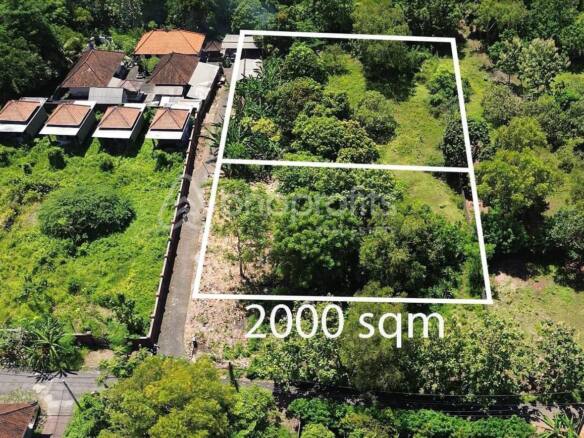Prime Investment Opportunity, Unveiling the Potential of Nyang-Nyang's Serene 10 Are Gem
