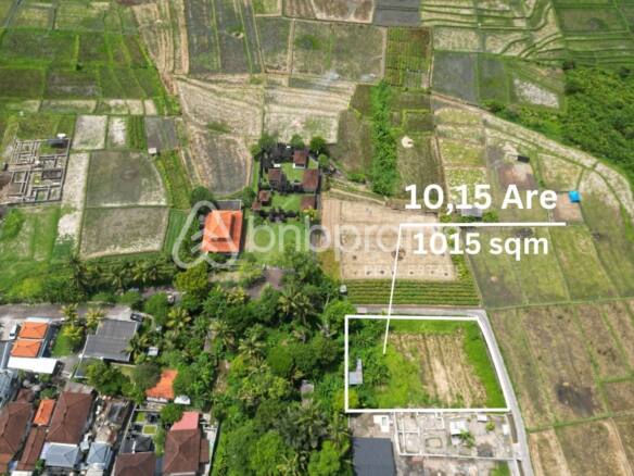 Strategic Investment 1015 Leasehold Land in North Canggu