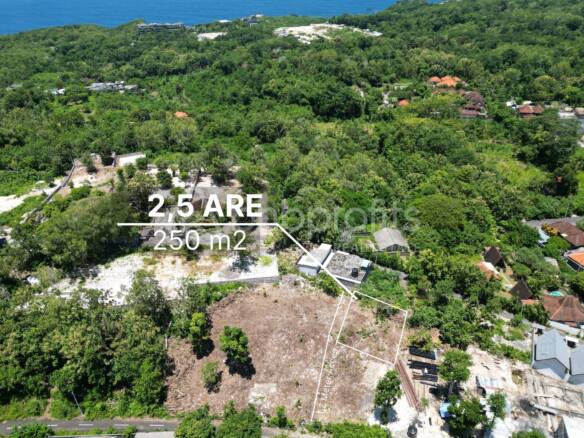 Oceanview Haven: Exclusive 2.5 Ara Leasehold Land for Sale in Uluwatu's Elite Local