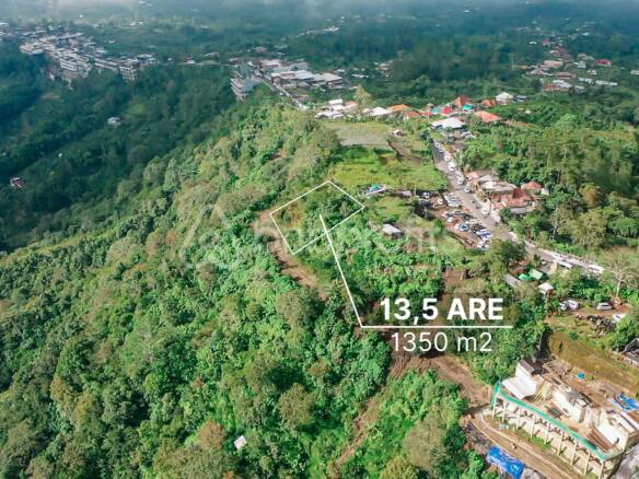 Unlock Kintamani's Potential: Premier Land 13,5 Are for Visionary Commercial Development