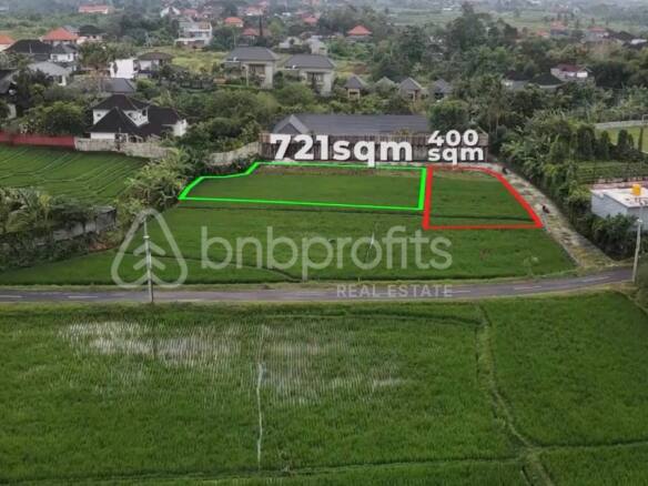 Land in Babakan with Permanent Rice Field Views, A Prime Investment Jewel