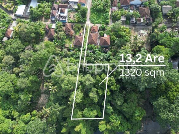 Tranquil Paradise Found: Prime Freehold Land in Nyanyi Area