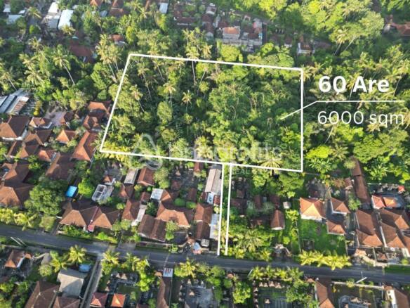 Golden Opportunity Leasehold Land in Sayan Ubud