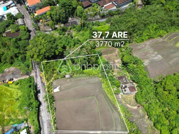 Own Your Slice of Bali Bliss: Serene Leasehold Land in Tumbak Bayuh with Endless Possibilities!