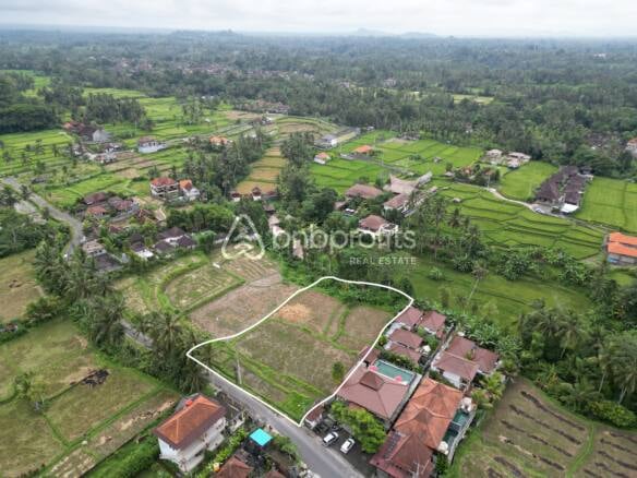 Exclusive Opportunity: Prime Investment Land in Ubud - Tegallalang, Bali
