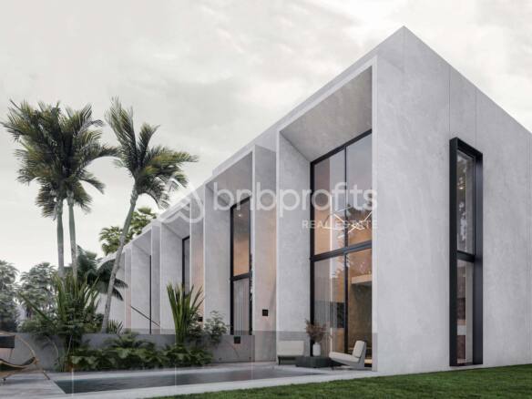 Modern Sustainable Villa in Canggu - Babakan: A Smart Investment Opportunity