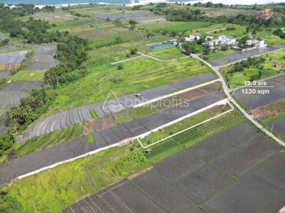 Prime Investment Opportunity, 1330 sqm Land in Belalang - Tabanan