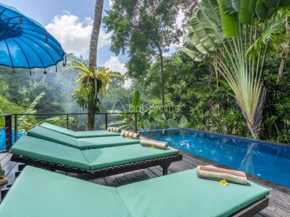 Discover Serenity, 5 Bedroom Villa For Yearly Rental, Your Private Jungle Retreat in Bali
