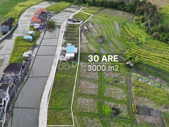 Prime Investment Opportunity, 30 Are Land in Pantai Lima