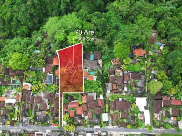 Envision Paradise: Secluded Freehold 70 Are Land in Ubud