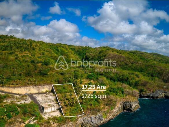 Prime Freehold Cliff Front Land with Ocean View in Nusa Penida