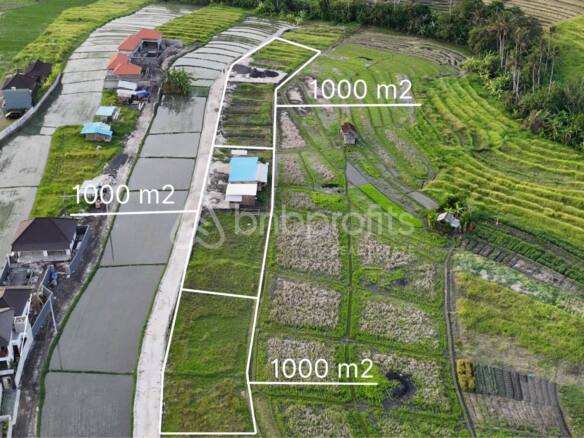 Prime Investment Opportunity, 10 Are Land in Pantai Lima