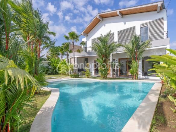 Exquisite 2024 Built Villa with Private Pool in North Canggu