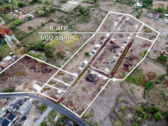 Own a Slice of Bali: Secure 600 Sqm Land with Long-term Lease