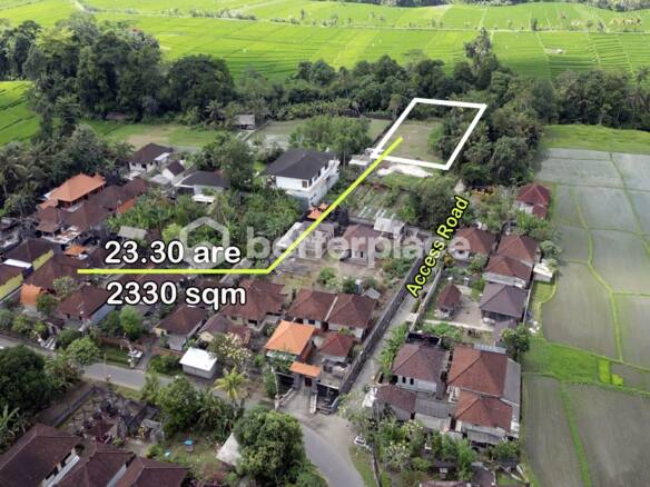 Affordable Bali Real Estate: Leasehold 2330 sqm Land in Prime Tabanan Location with High ROI Potential