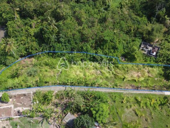 Exceptional Leasehold Land Opportunity in Tumbak Bayuh, Canggu – Stunning Riverfront Property with Rice Field Views