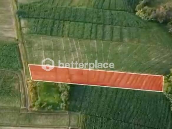 Prime 1340 sqm Land in Beraban - Tabanan, Ideal for Investment