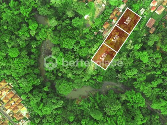 Prime Leasehold Land in Buwit, Tabanan: 500 sqm with Stunning Natural Views