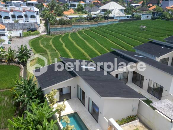 Modern Minimalist 2-Bedroom Villa Surrounded by Rice Fields in Padonan