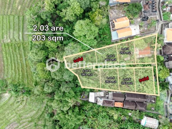 203 Sqm Leasehold Land in Tumbak Bayuh – Ideal for Luxury Villa Development